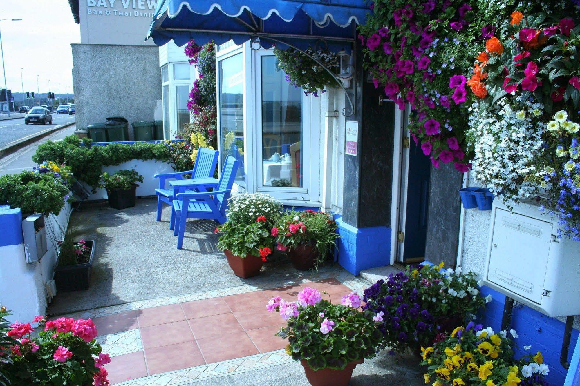 Devon View Guesthouse Swansea Esterno foto